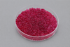Color-varialbe Silica Gel-Ruby