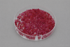 Color-varialbe Silica Gel-Ruby