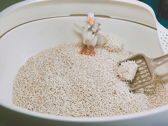 tofu cat litter