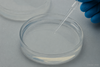 Silica Sol (Colloidal Silica)