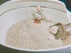 TOFU Cat Litter